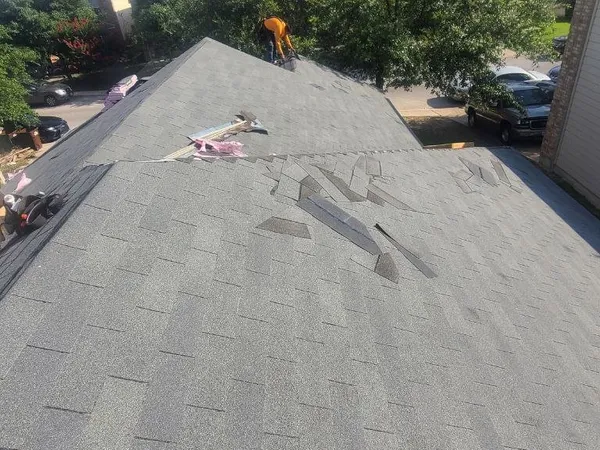 New shingle roof